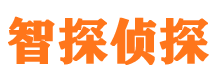 合山市私家侦探